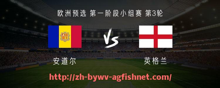 AG捕鱼王官网-2011年英超球衣销量数据及当年热销球员款