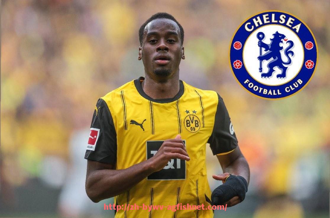 AG捕鱼王官网-英超联赛中的南美球员名单与技术特点分析