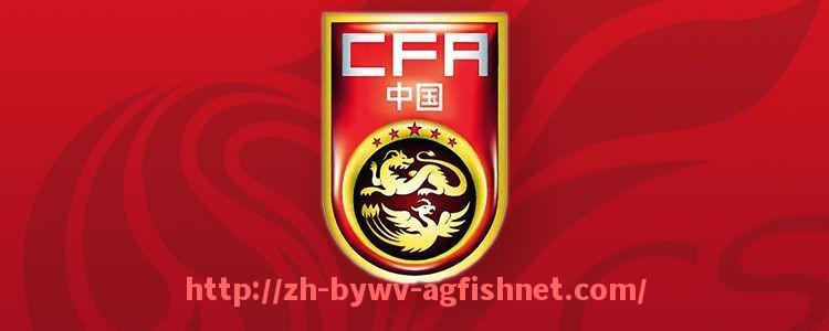 AG捕鱼王官网-2025年世俱杯赞助资金预算控制机制及执行要点