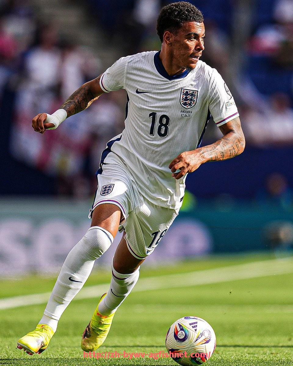 AG捕鱼王官网-世俱杯主办国对比赛用球进口渠道与数量的管理规定