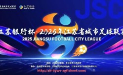 AG捕鱼王官网-德国亚琛球队的德甲历史及现状分析