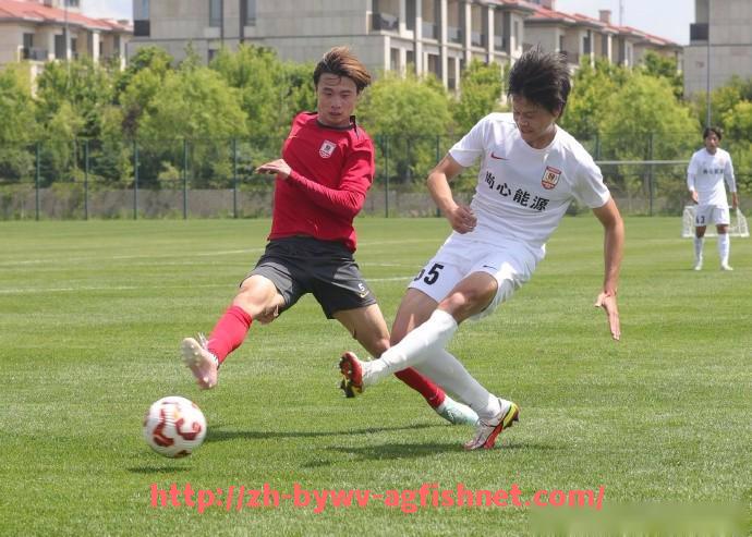 AG捕鱼王官网-世俱杯低调球员大爆发实例回顾:平凡背后的高光时刻